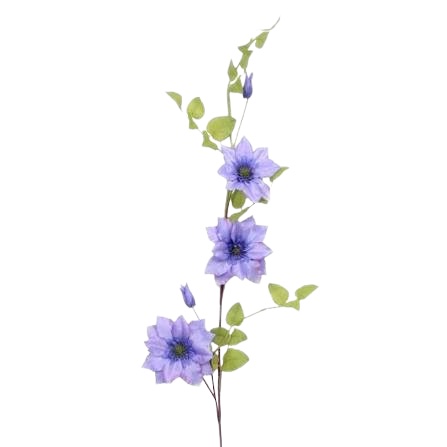 Mise en scène florale - Mama & Co